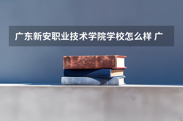 广东新安职业技术学院学校怎么样 广东新安职业技术学院地址