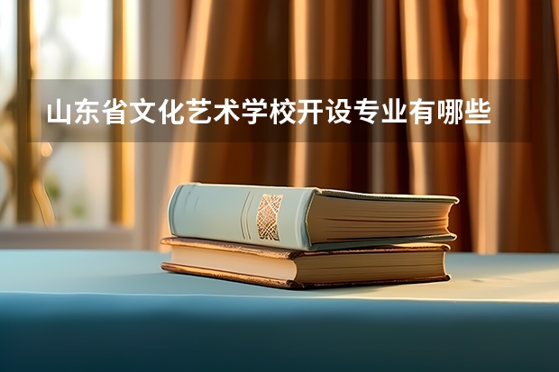 山东省文化艺术学校开设专业有哪些 山东省文化艺术学校每个专业招多少人