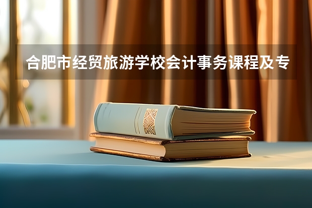 合肥市经贸旅游学校会计事务课程及专业能力要求