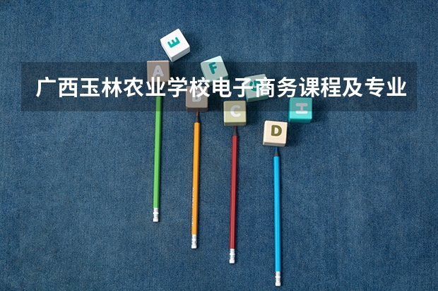广西玉林农业学校电子商务课程及专业能力要求