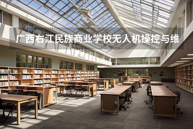 广西右江民族商业学校无人机操控与维护课程及专业能力要求