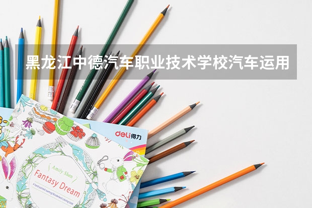 黑龙江中德汽车职业技术学校汽车运用与维修课程及专业能力要求