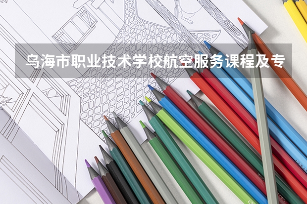 乌海市职业技术学校航空服务课程及专业能力要求