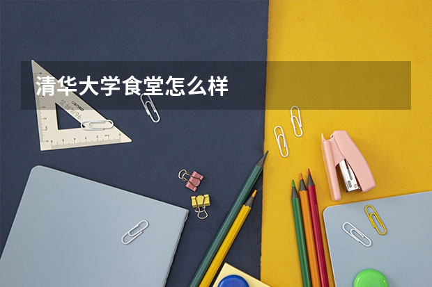 清华大学食堂怎么样