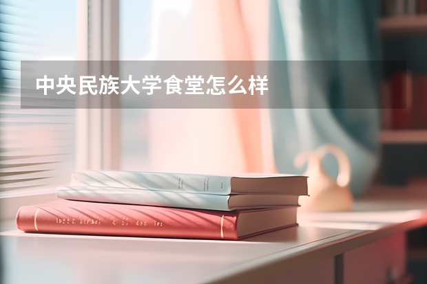 中央民族大学食堂怎么样