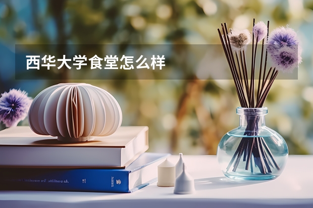 西华大学食堂怎么样