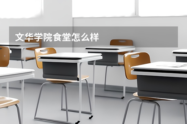 文华学院食堂怎么样