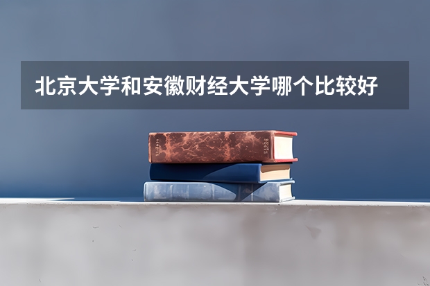 北京大学和安徽财经大学哪个比较好 