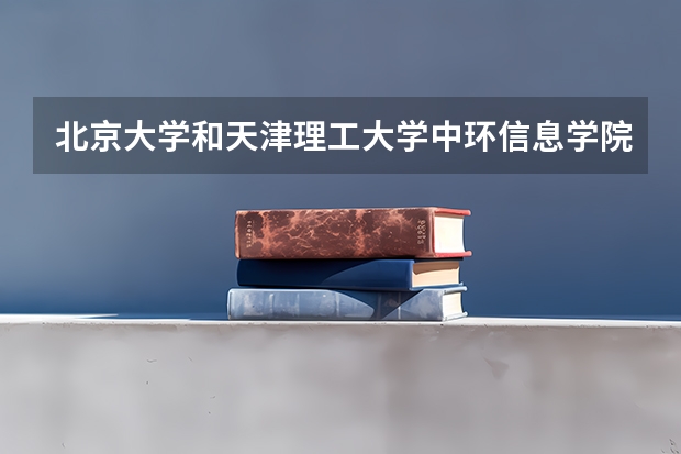 北京大学和天津理工大学中环信息学院哪个比较好 
