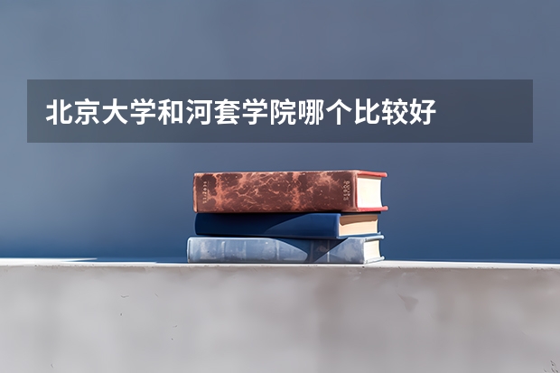 北京大学和河套学院哪个比较好 