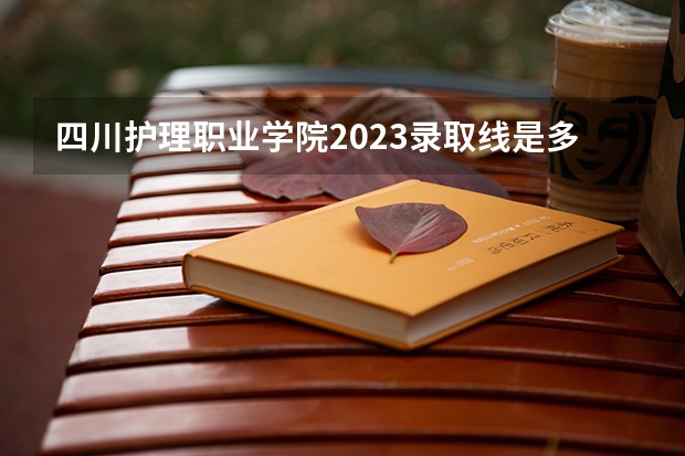 四川护理职业学院2023录取线是多少？