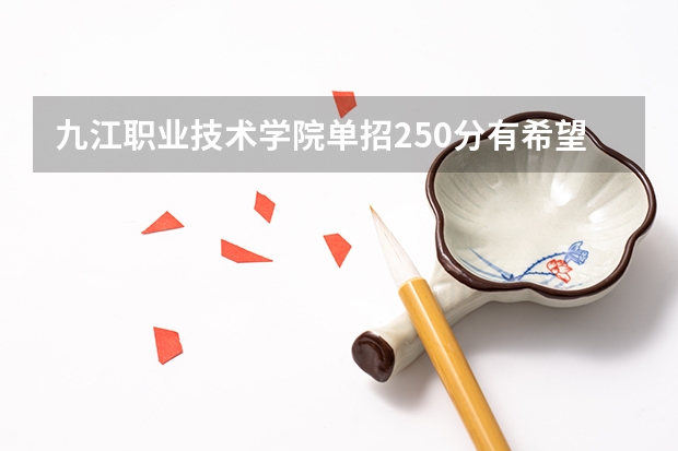 九江职业技术学院单招250分有希望吗