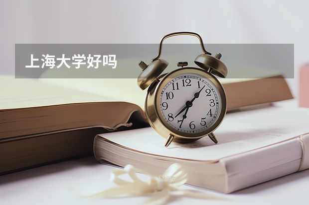 上海大学好吗