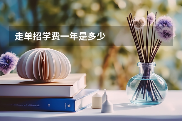 走单招学费一年是多少