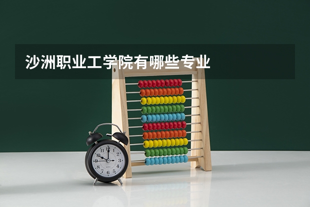 沙洲职业工学院有哪些专业