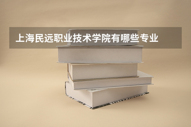 上海民远职业技术学院有哪些专业