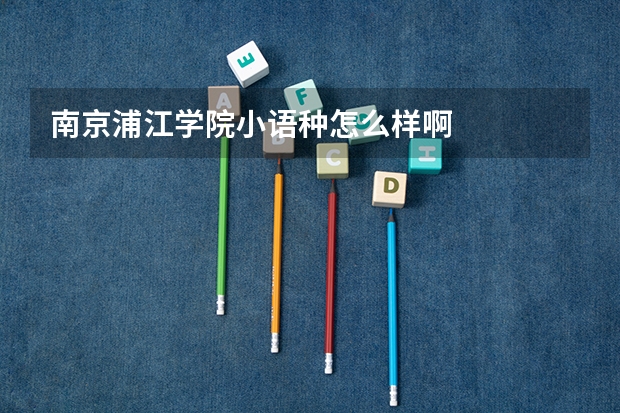 南京浦江学院小语种怎么样啊