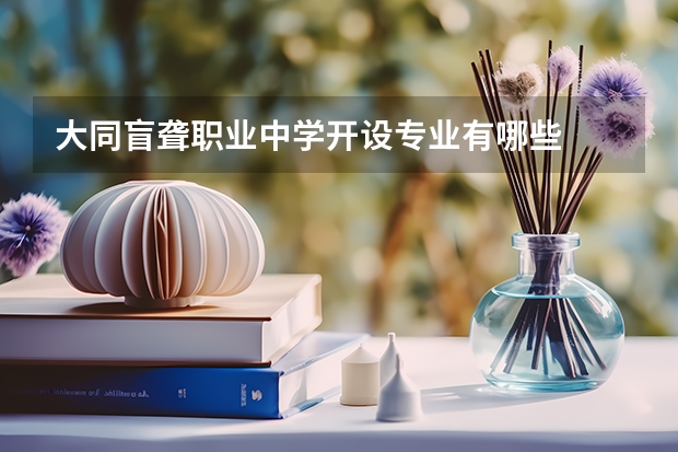 大同盲聋职业中学开设专业有哪些