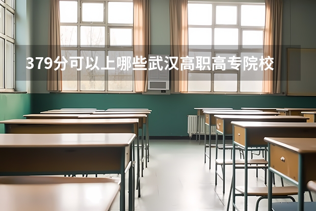379分可以上哪些武汉高职高专院校？