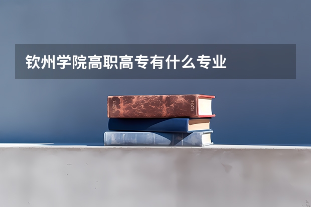 钦州学院高职高专有什么专业